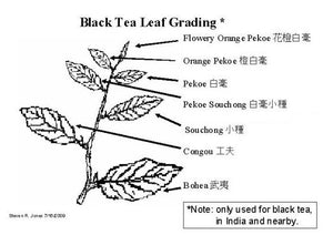 Черен чай Ceylon Orange Pekoe